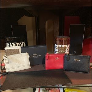 Coach Skinny Mini Key,Coin,ID